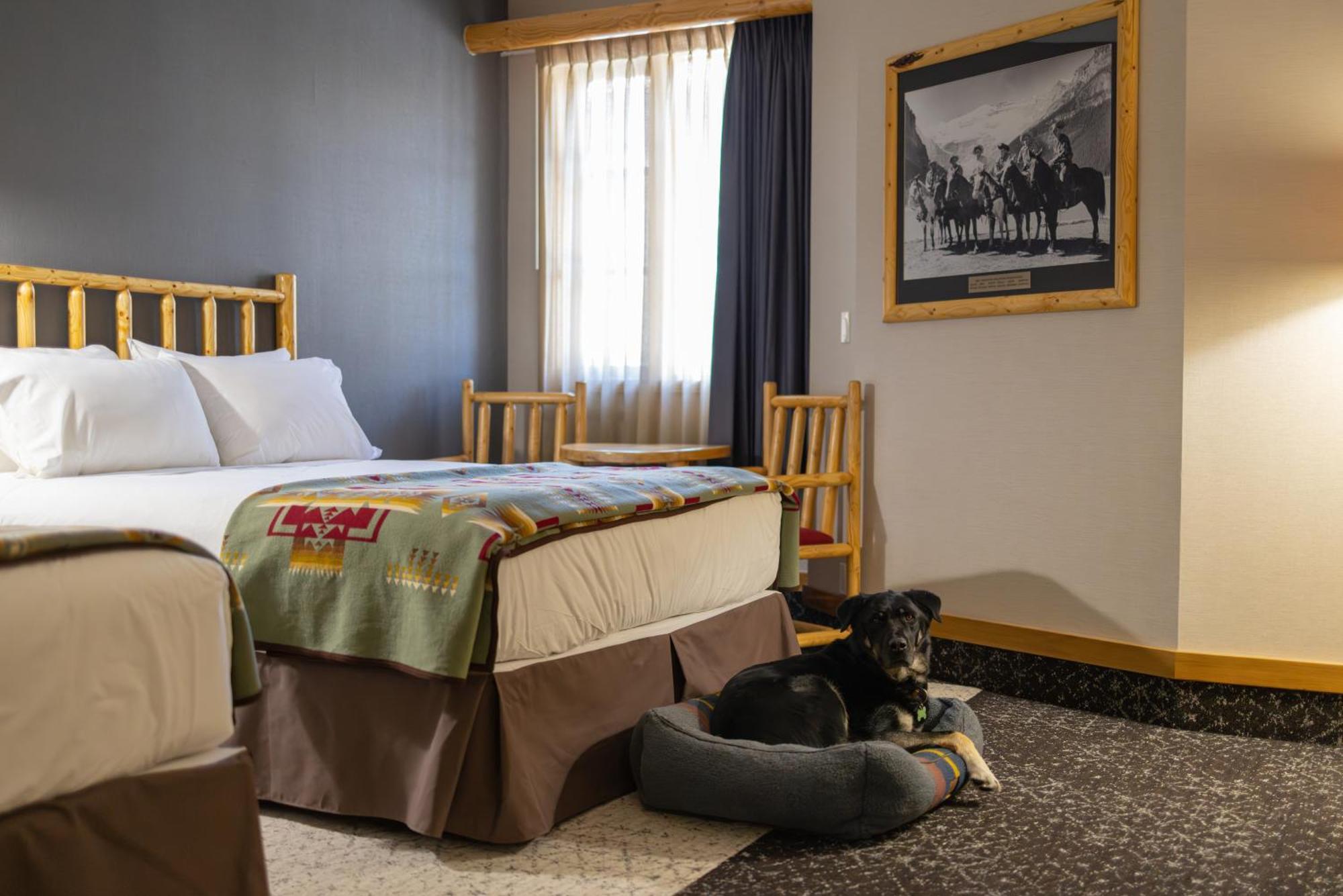 Brewster Mountain Lodge Banff Buitenkant foto
